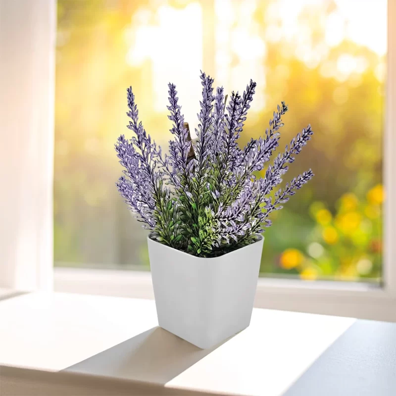 CK-2015 Bitki Yetiştirme Seti